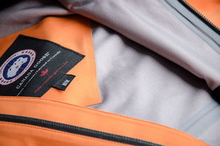 服饰鞋帽与箱包 时尚与实用的完美结合